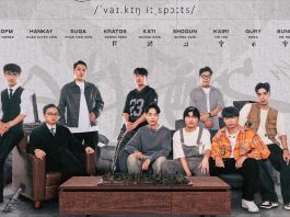 Đội Vikings Esports công bố line-up chính thức cho mùa giải VCS 2024