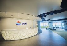 Các công ty có thể phân phối PUBG Mobile phiên bản tiếng Việt